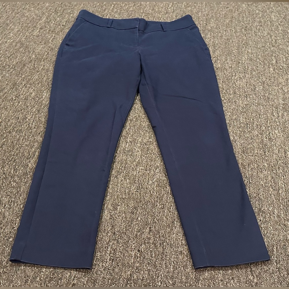 EUC Ann Taylor Loft Womens Marisa Chino Pants 8 Blue Cotton Stretch Skinny Leg